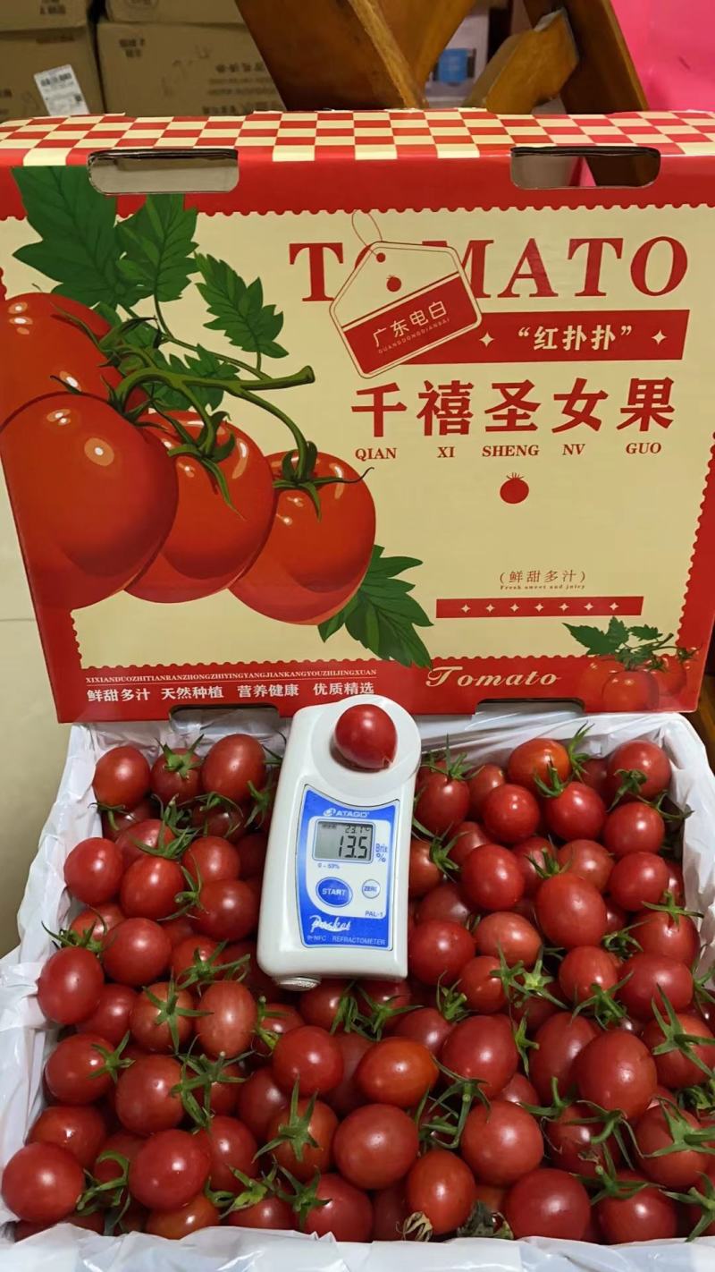 广东电白圣女果社区团购超市全配套代收代发供应链中心