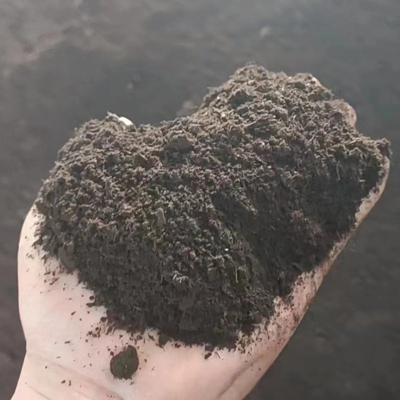 我这里是羊粪发酵肥源头厂家，货源充足，信誉可靠，质量保证