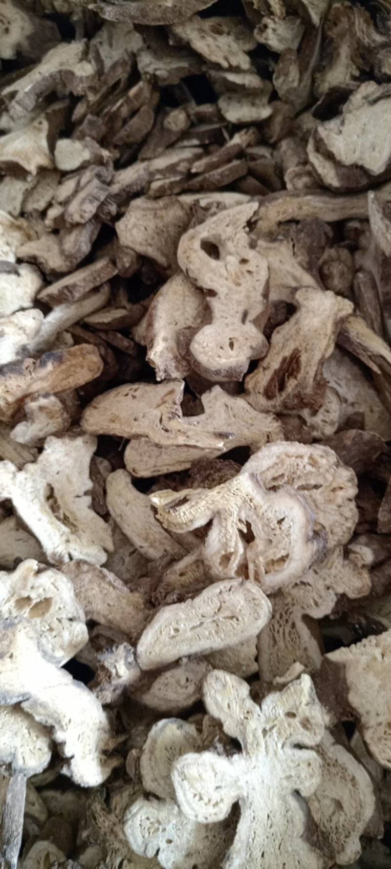 白术生白术规格齐全现货供应鲁赣中药材批发