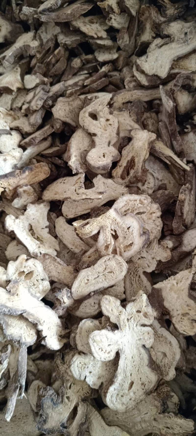 白术生白术规格齐全现货供应鲁赣中药材批发