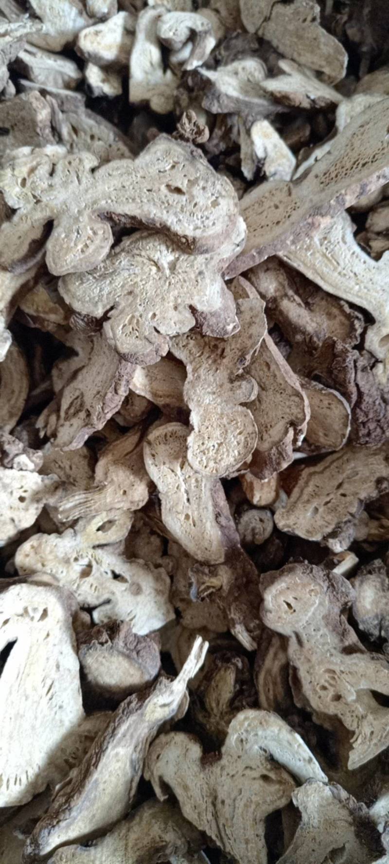 白术生白术规格齐全现货供应鲁赣中药材批发