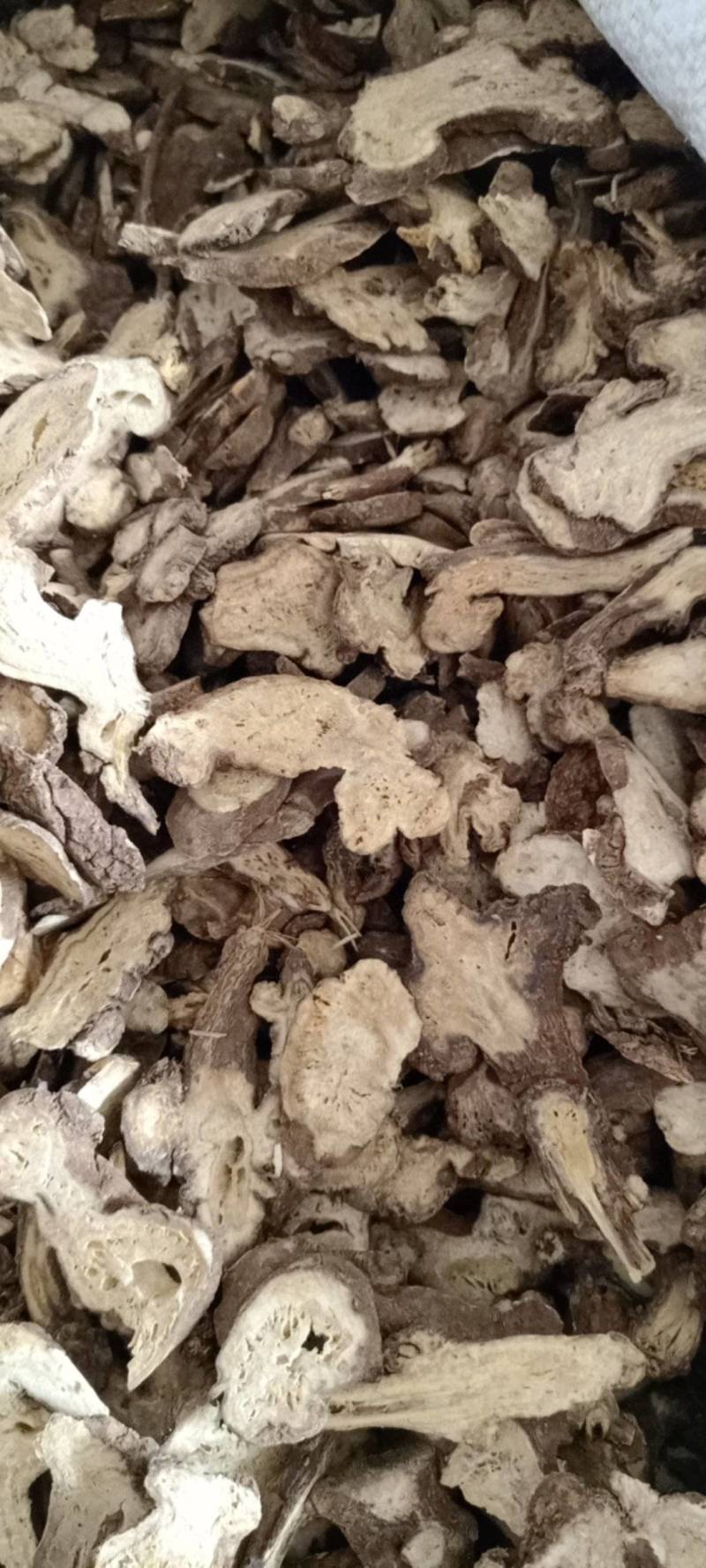 白术生白术规格齐全现货供应鲁赣中药材批发