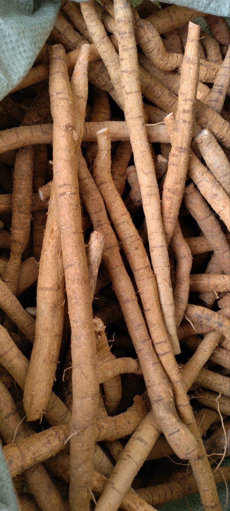 【十年老身牛大力】批发牛大力，种植十年正宗阳江货！
