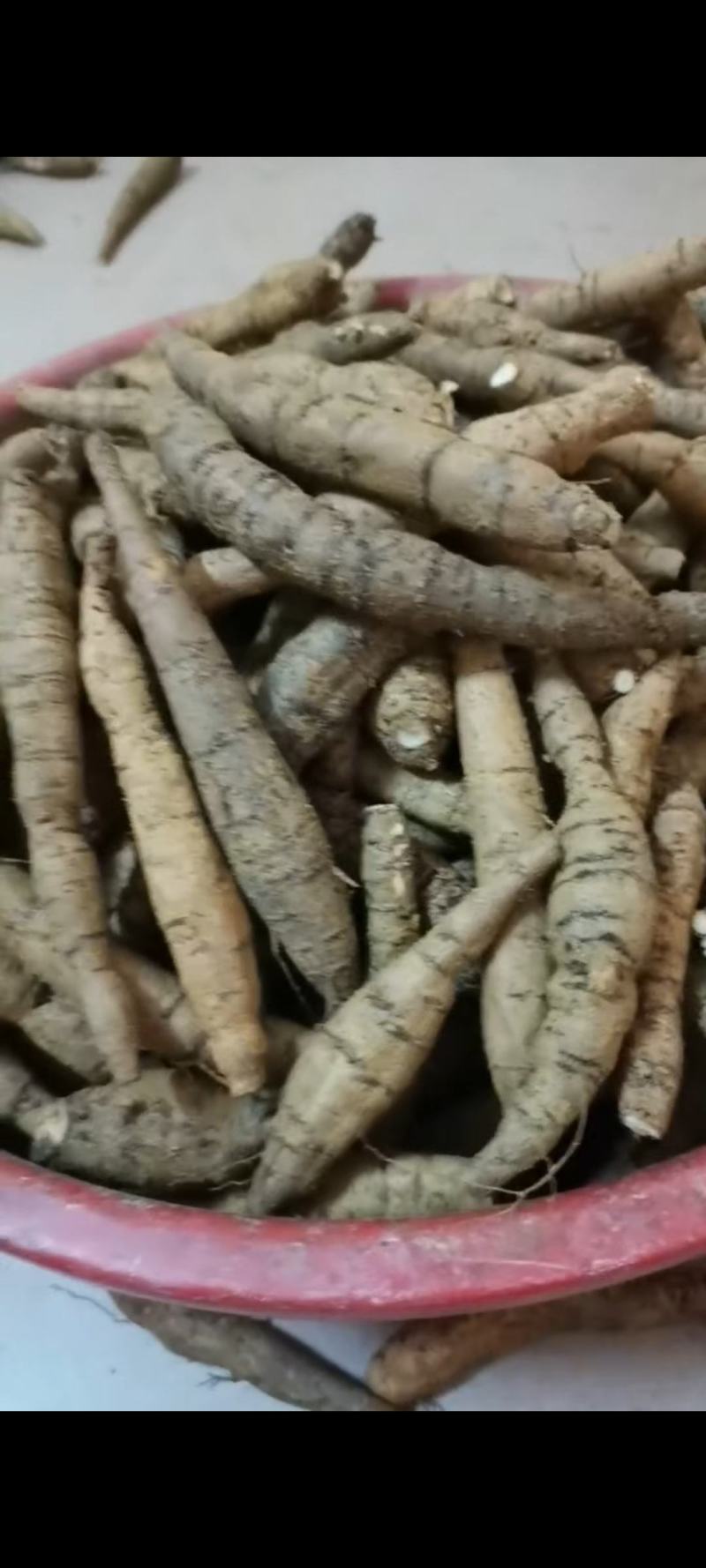 【十年老身牛大力】批发牛大力，种植十年正宗阳江货！