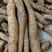 【十年老身牛大力】批发牛大力，种植十年正宗阳江货！