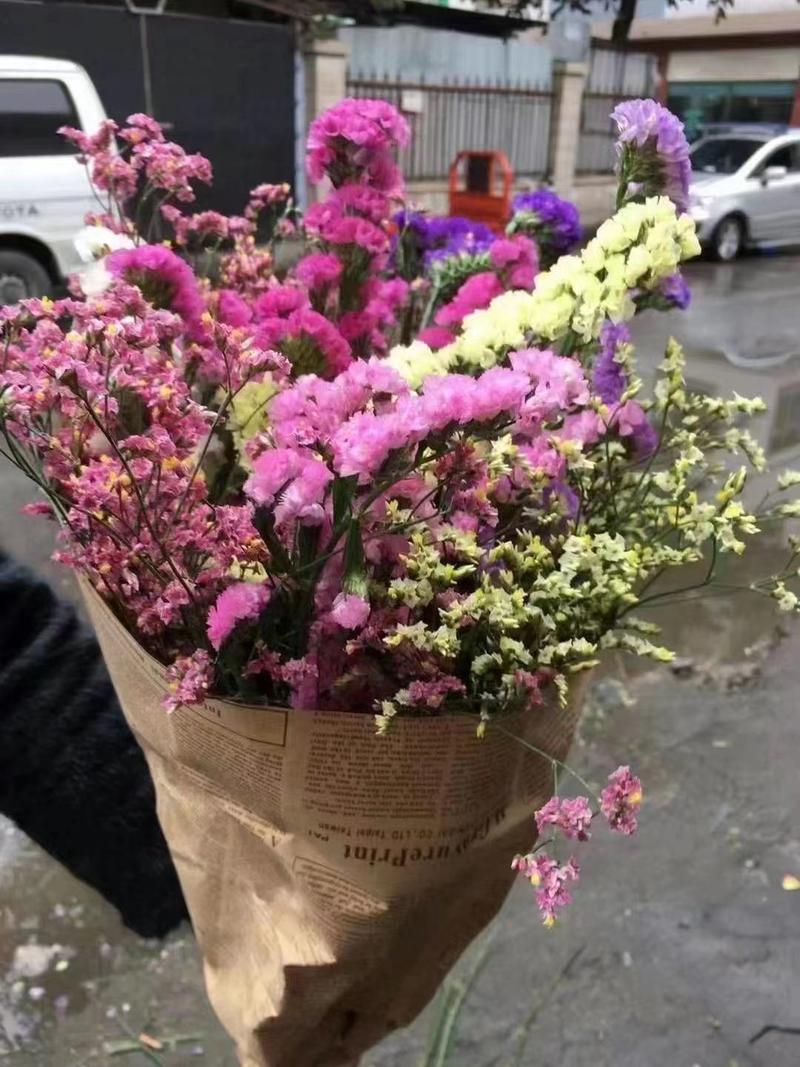 鲜花云南鲜花干花勿忘我水晶草按斤卖地摊夜市跑江湖批发