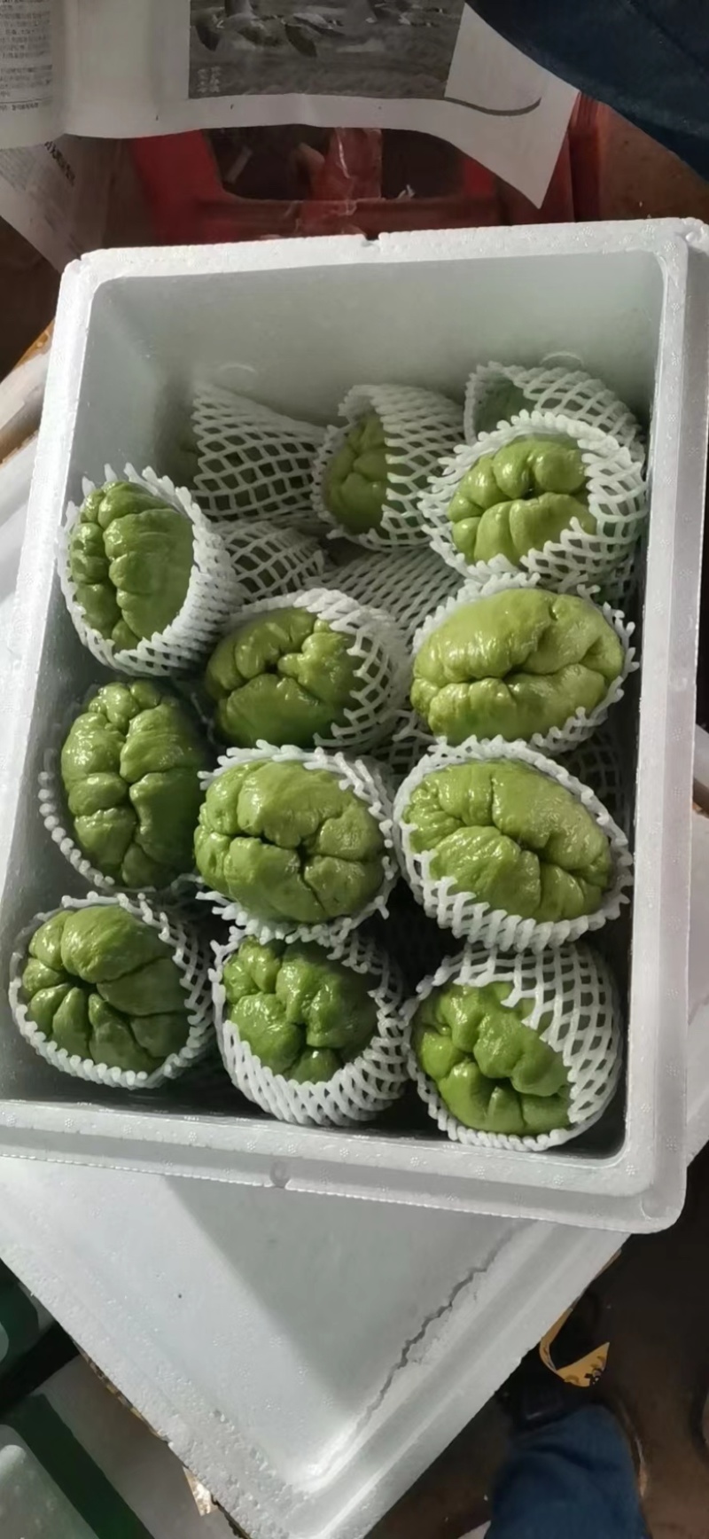 鲜嫩爽口现摘现发长期大量供应各商超市场社区团购及各大平台