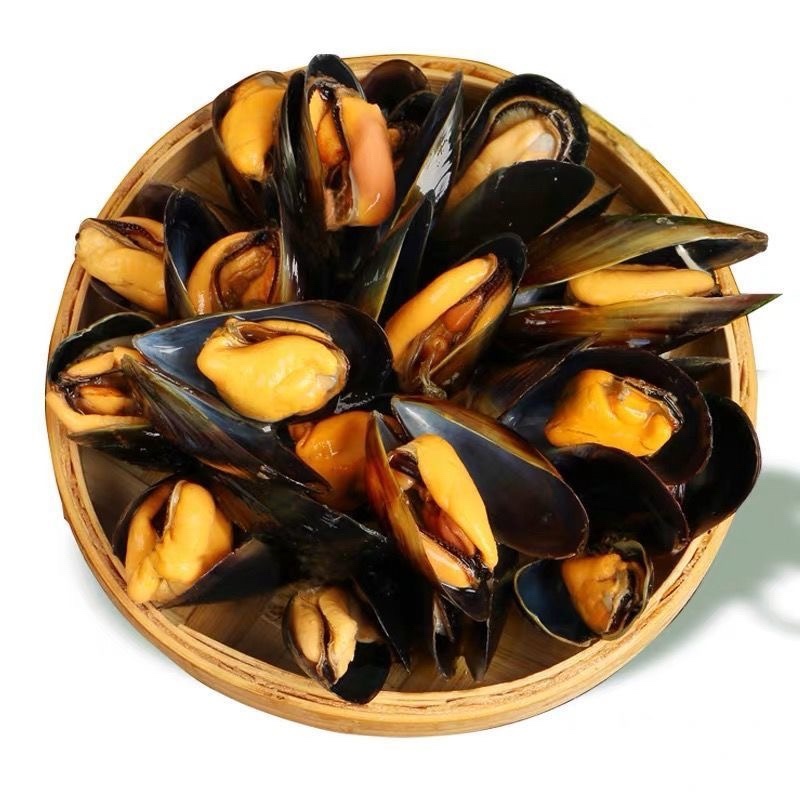 当天捕捞鲜活海虹青口贝小淡菜海鲜水产批发