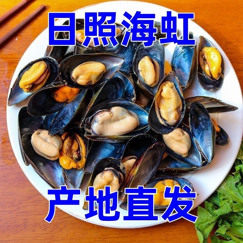 当天捕捞鲜活海虹青口贝小淡菜海鲜水产批发