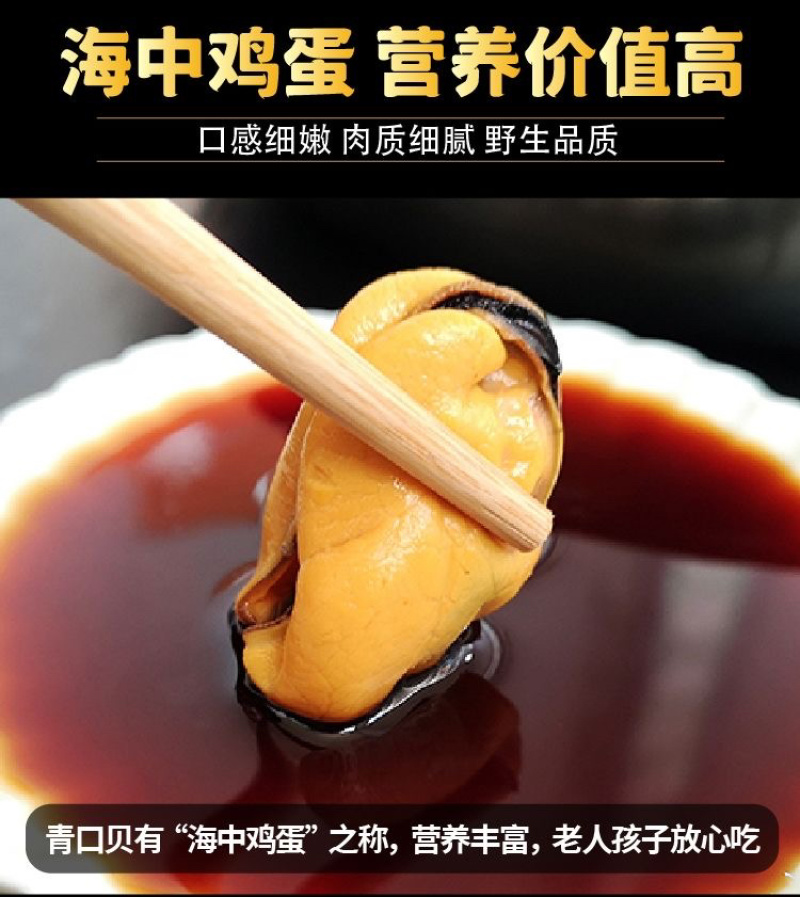 当天捕捞鲜活海虹青口贝小淡菜海鲜水产批发