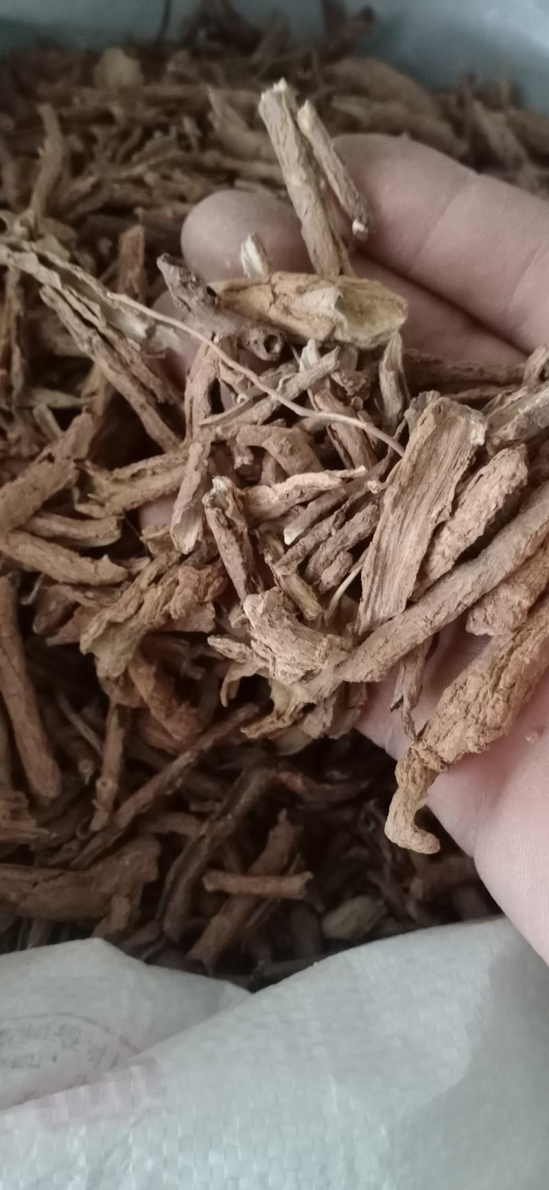 【地骨皮】产地山西一手货源大货供应规格齐全量大优惠。