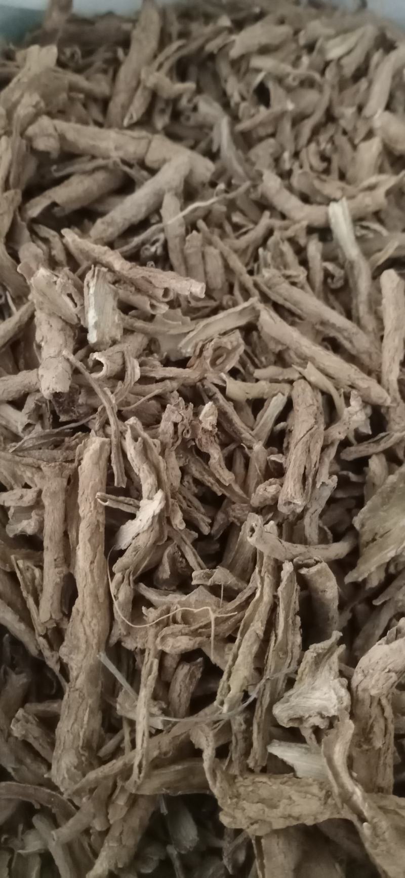 【地骨皮】产地山西一手货源大货供应规格齐全量大优惠。