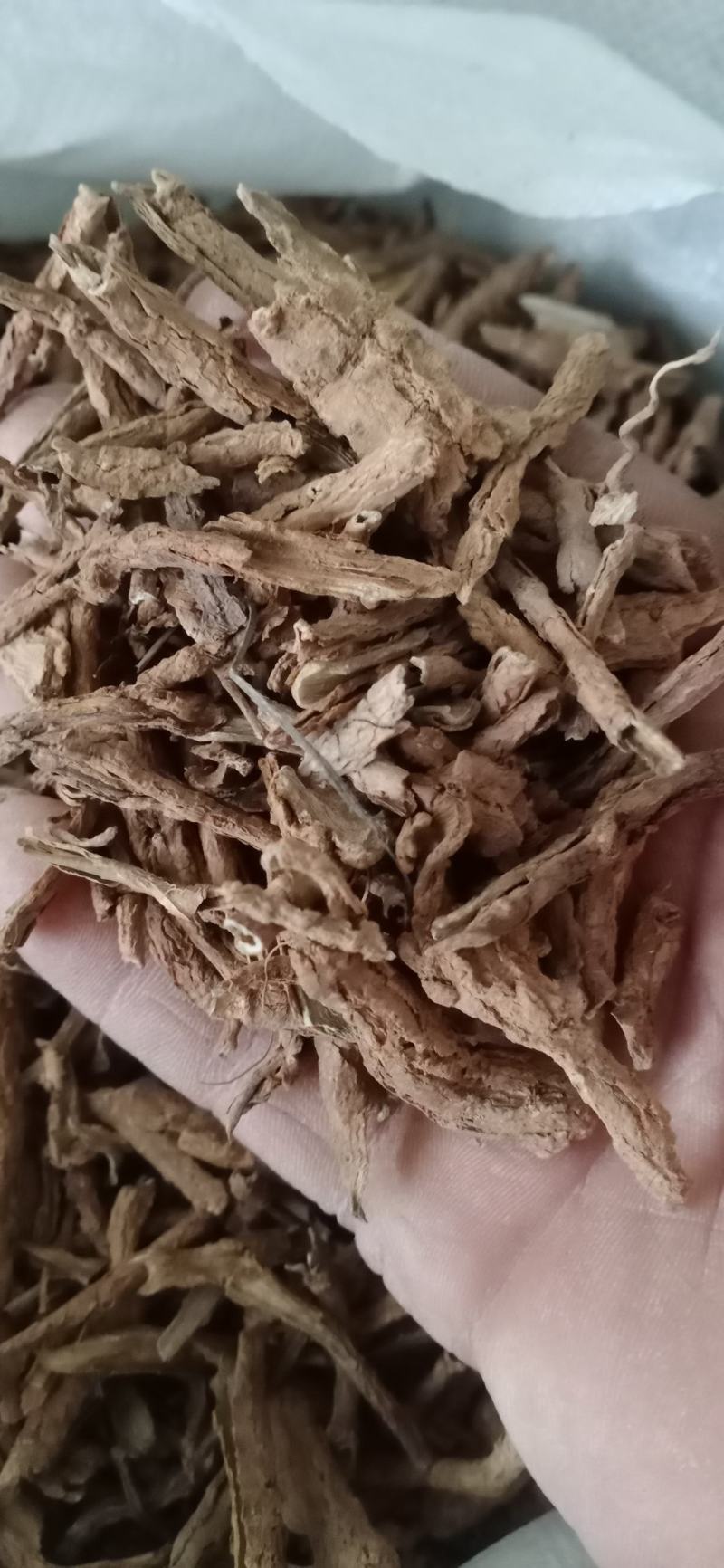【地骨皮】产地山西一手货源大货供应规格齐全量大优惠。