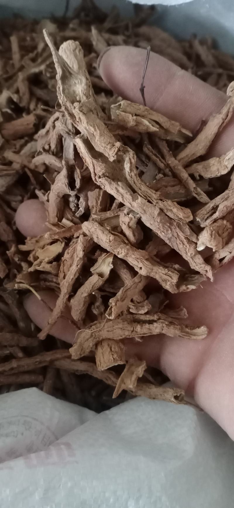 【地骨皮】产地山西一手货源大货供应规格齐全量大优惠。