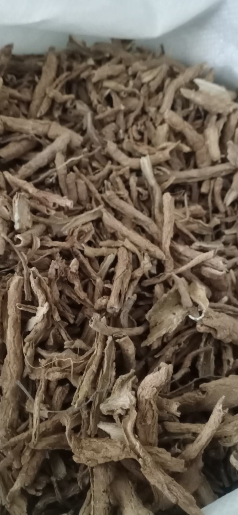 【地骨皮】产地山西一手货源大货供应规格齐全量大优惠。