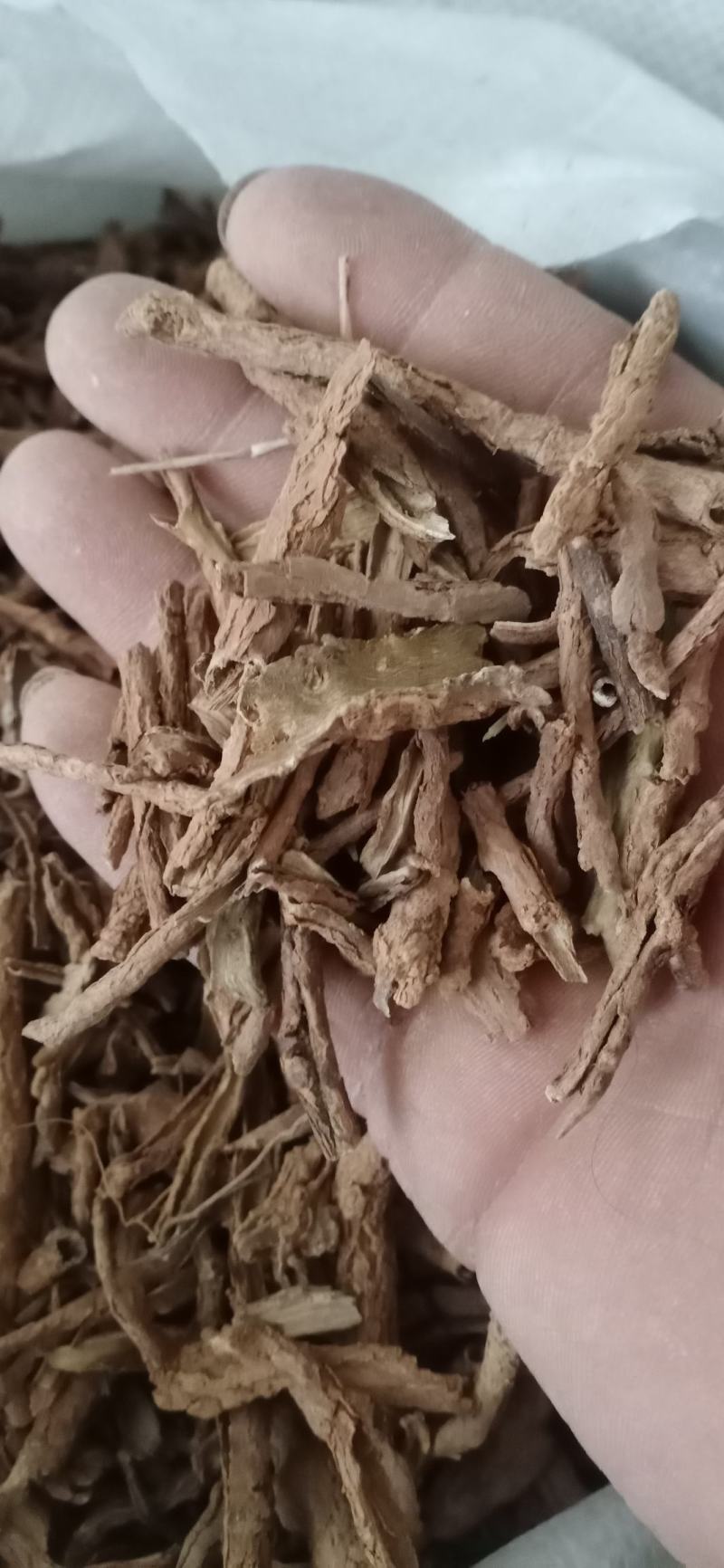 【地骨皮】产地山西一手货源大货供应规格齐全量大优惠。