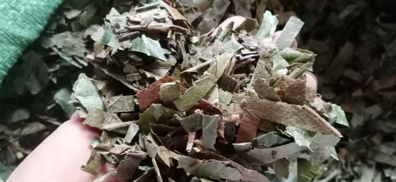 【枇杷叶】产地一手货源大货供应规格齐全量大优惠。