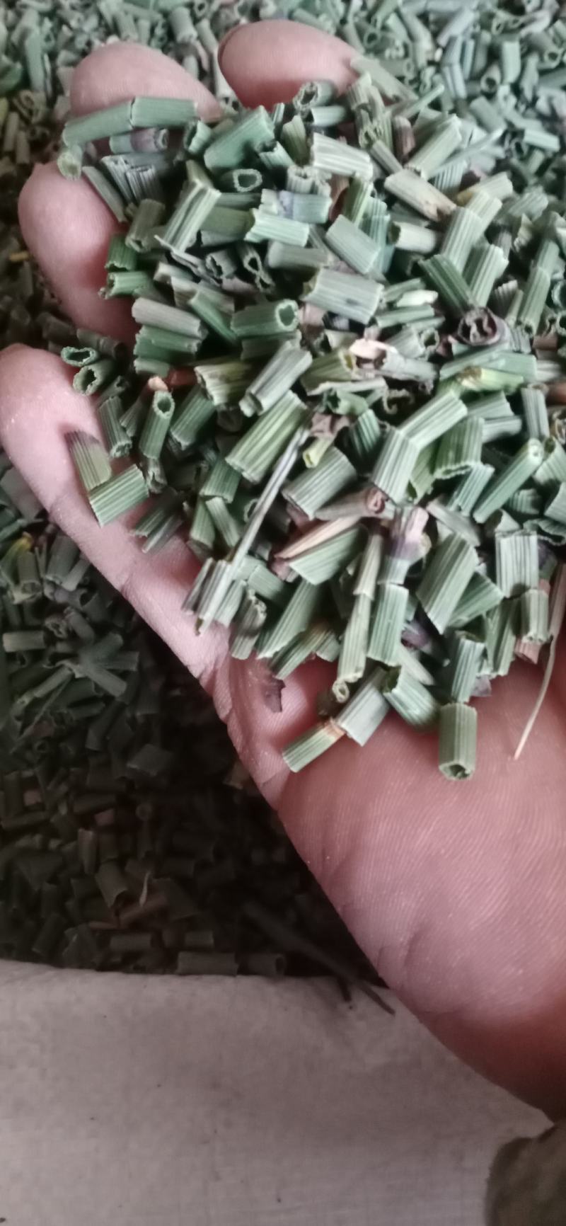 【木贼】产地东北一手货源大货供应规格齐全量大优惠。