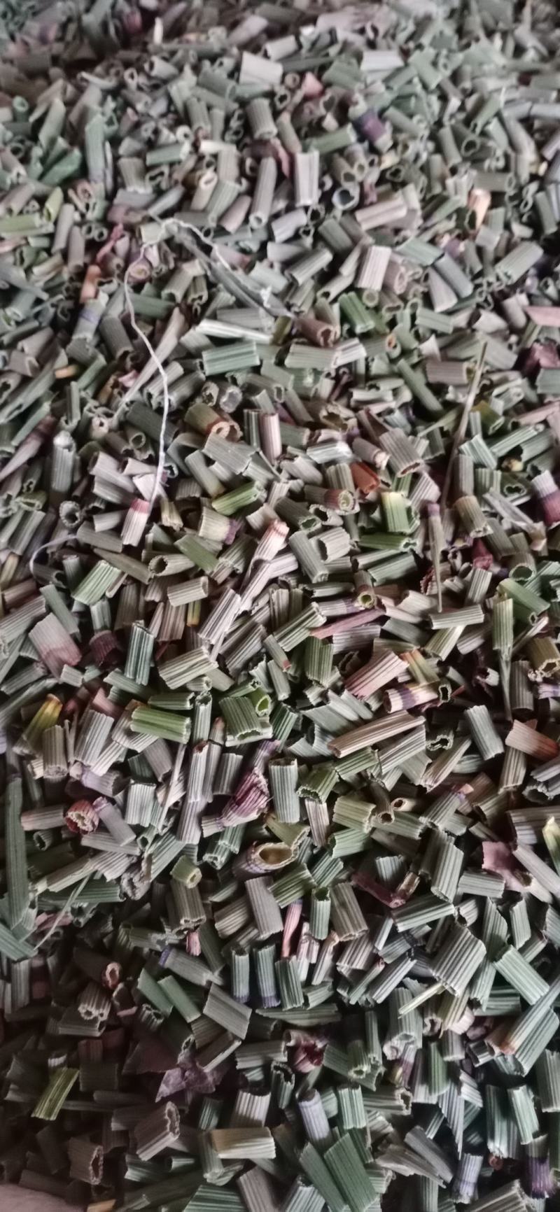 【木贼】产地东北一手货源大货供应规格齐全量大优惠。