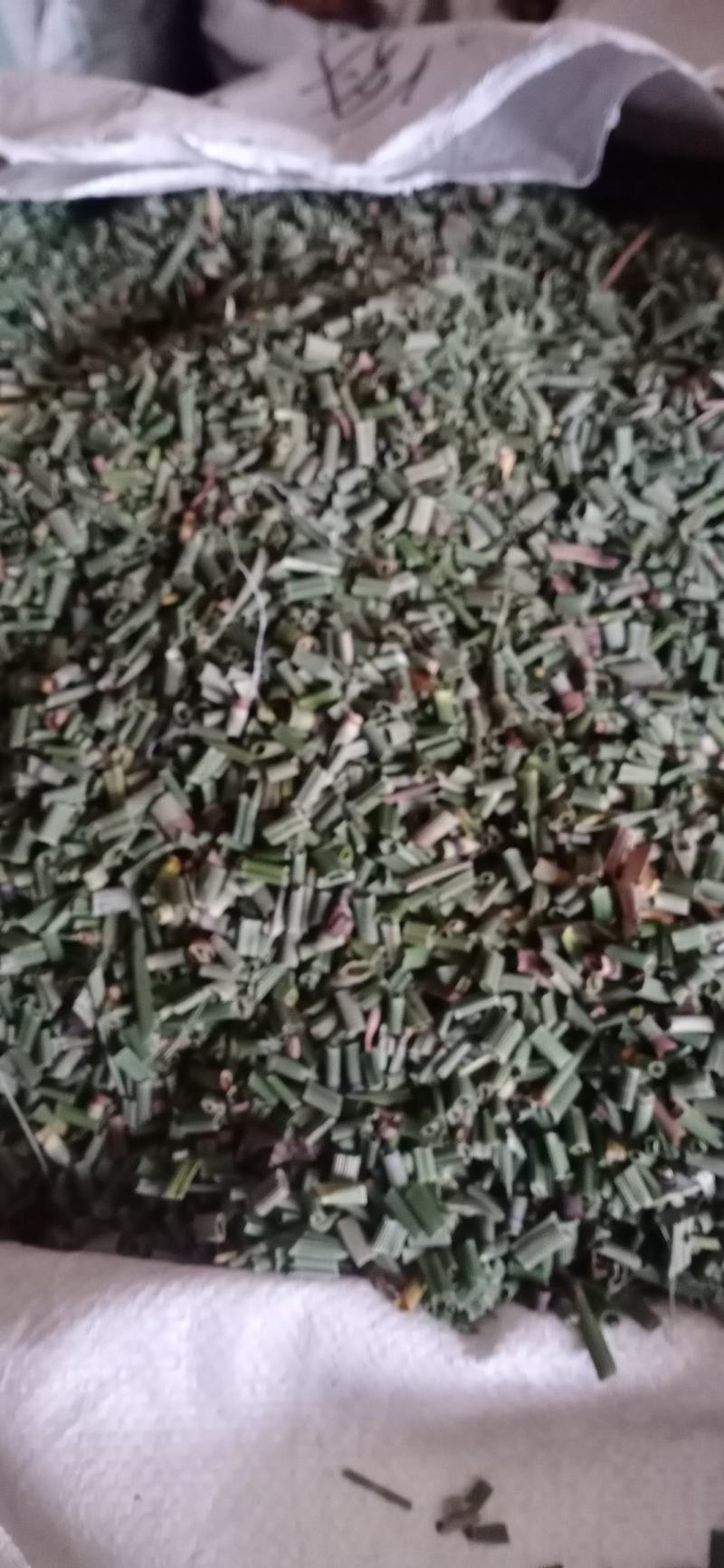 【木贼】产地东北一手货源大货供应规格齐全量大优惠。