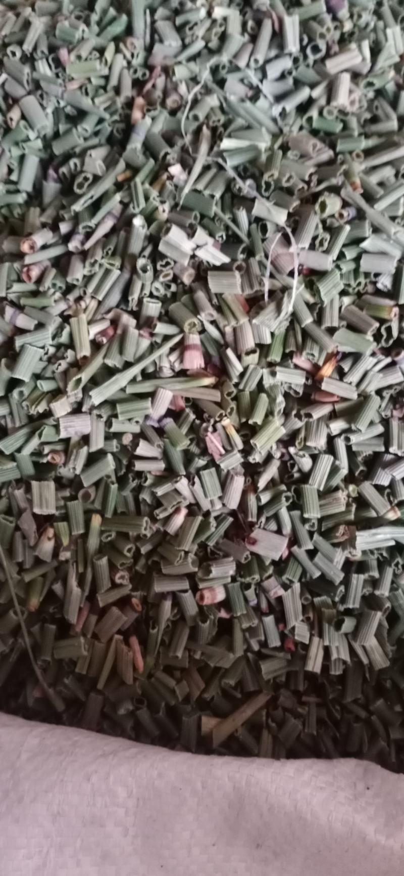 【木贼】产地东北一手货源大货供应规格齐全量大优惠。