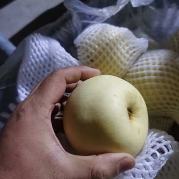 皇冠梨高次，价格便宜，处理挺冷库，
