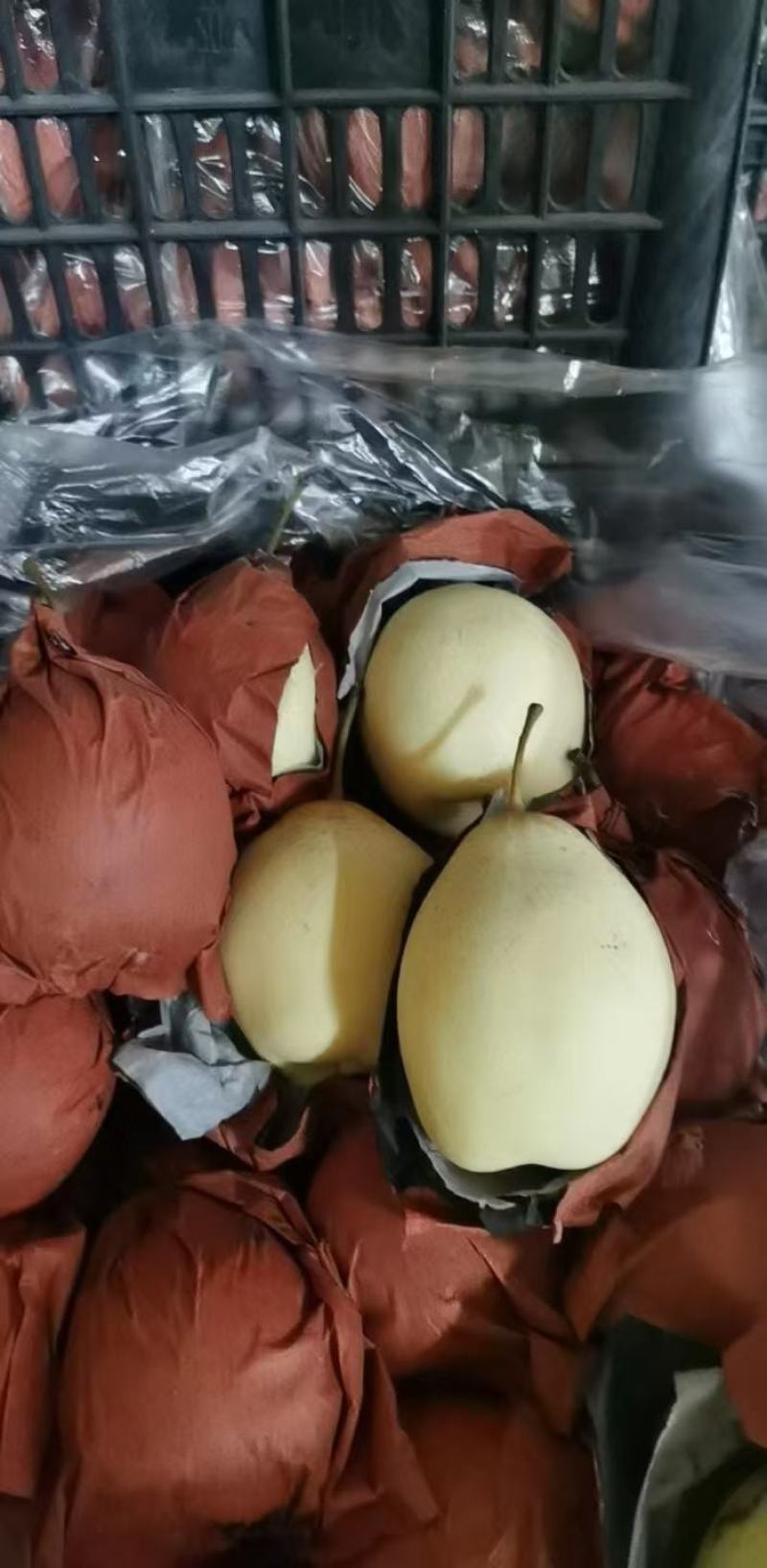 皇冠梨高次，价格便宜，处理挺冷库，