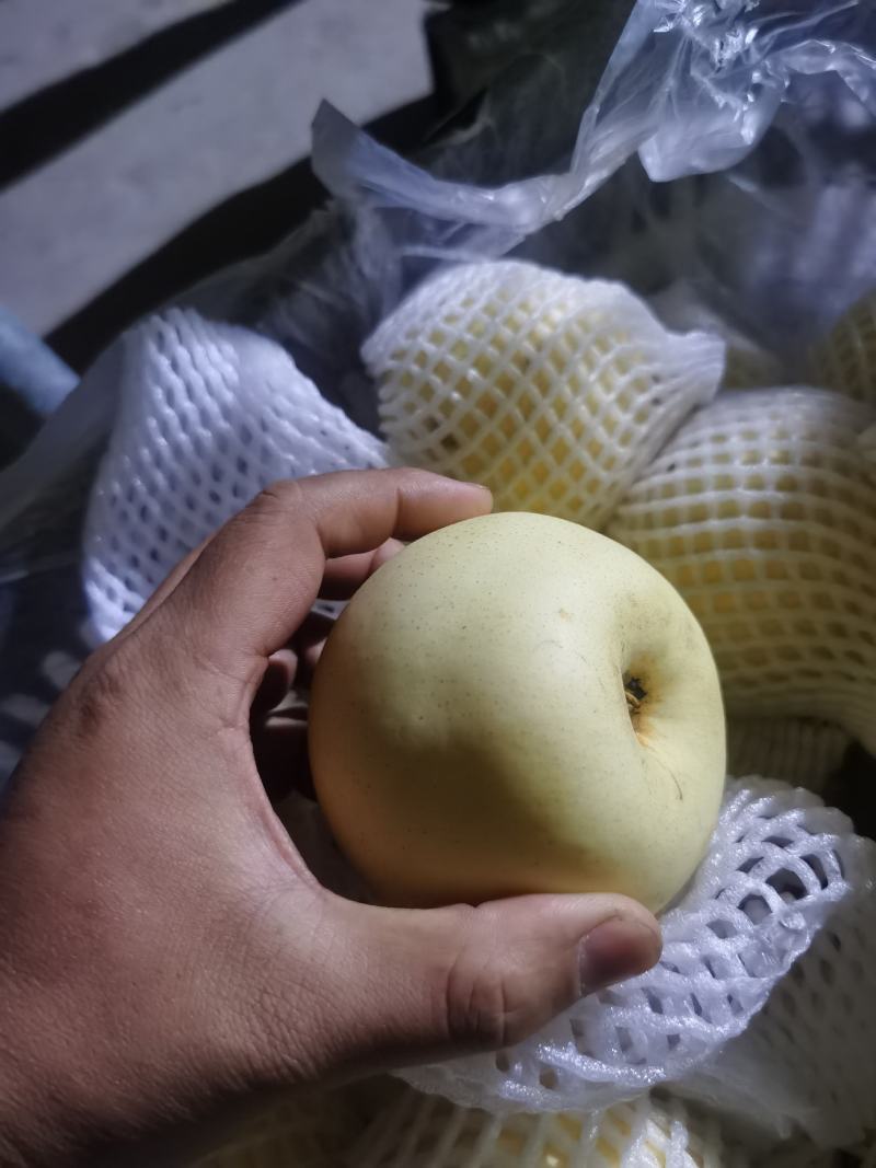 皇冠梨高次，价格便宜，处理挺冷库，