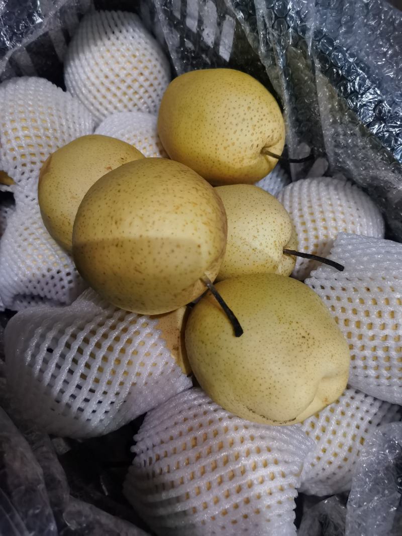 皇冠梨高次，价格便宜，处理挺冷库，