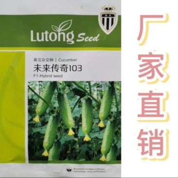 璐通种业水果黄瓜种子中早熟家庭菜园基地专用节节有瓜顺直