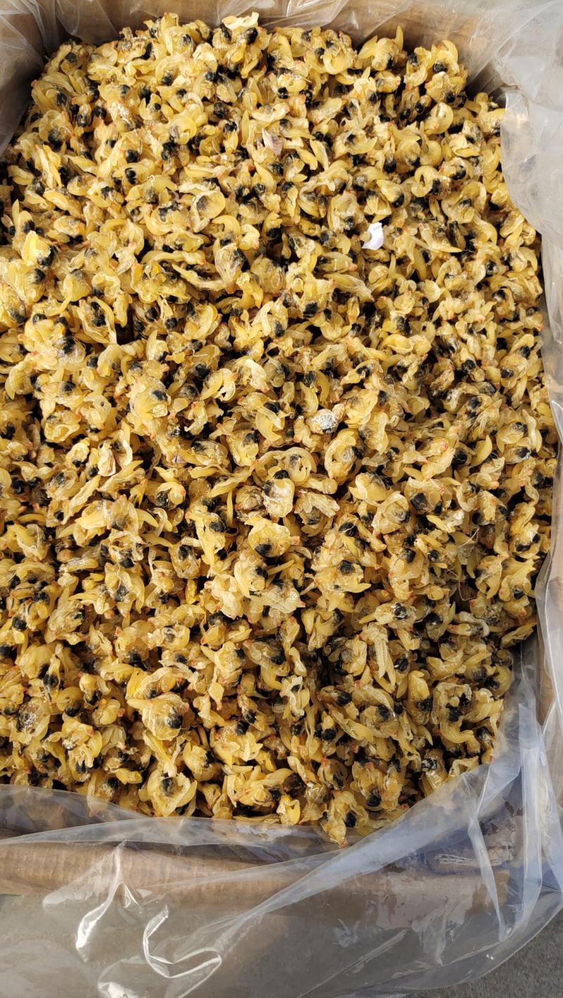 花甲肉干，炒菜，做汤都好吃，对接厂家，一手货源