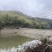 毛竹50000根长2米左右