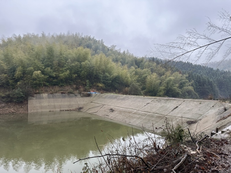 毛竹50000根长2米左右