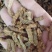 【僵蚕】（白僵蚕.僵天虫.姜僵蚕）药食两用.中药材批发.