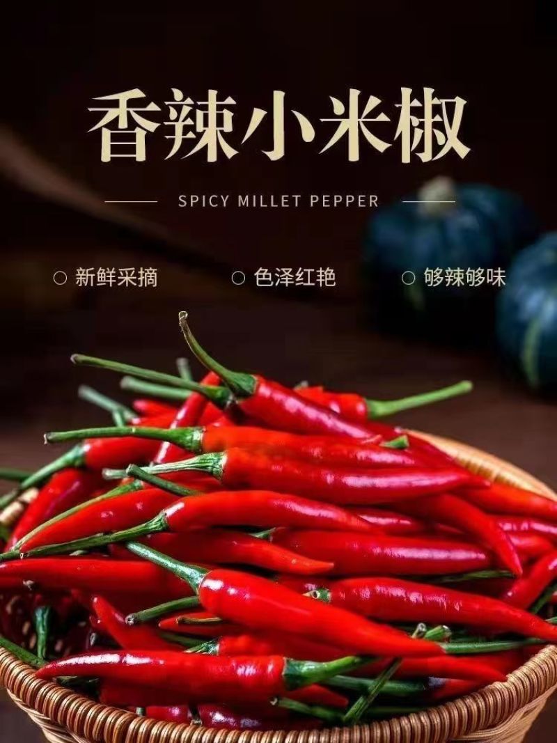 红辣椒朝天椒货源充足量大从优诚信经营欢迎咨询