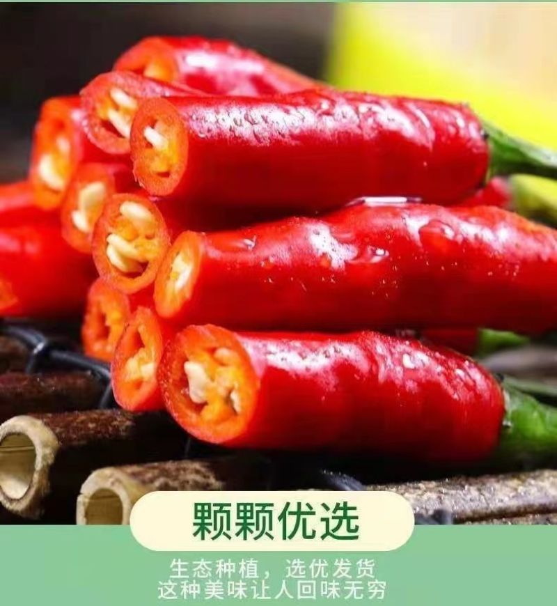 红辣椒朝天椒货源充足量大从优诚信经营欢迎咨询