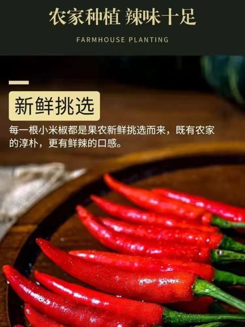 红辣椒朝天椒货源充足量大从优诚信经营欢迎咨询