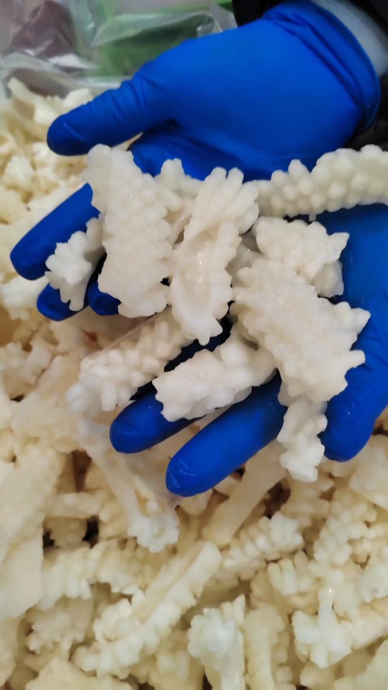 鱿鱼花