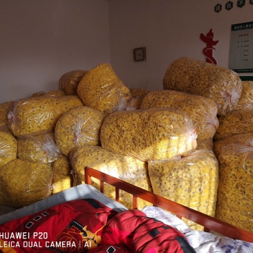 无硫金丝皇菊量大从优品质保障欢迎老板订购