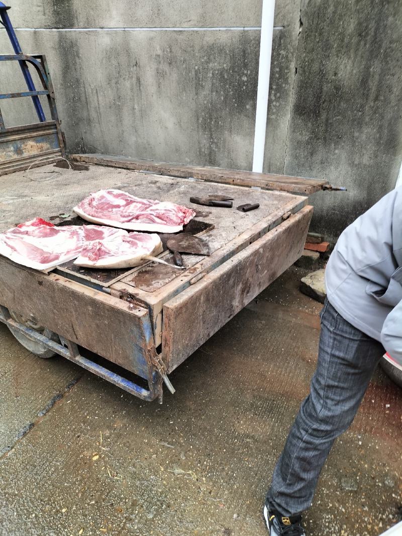 散养香猪，喂食玉米稻谷酒糟
