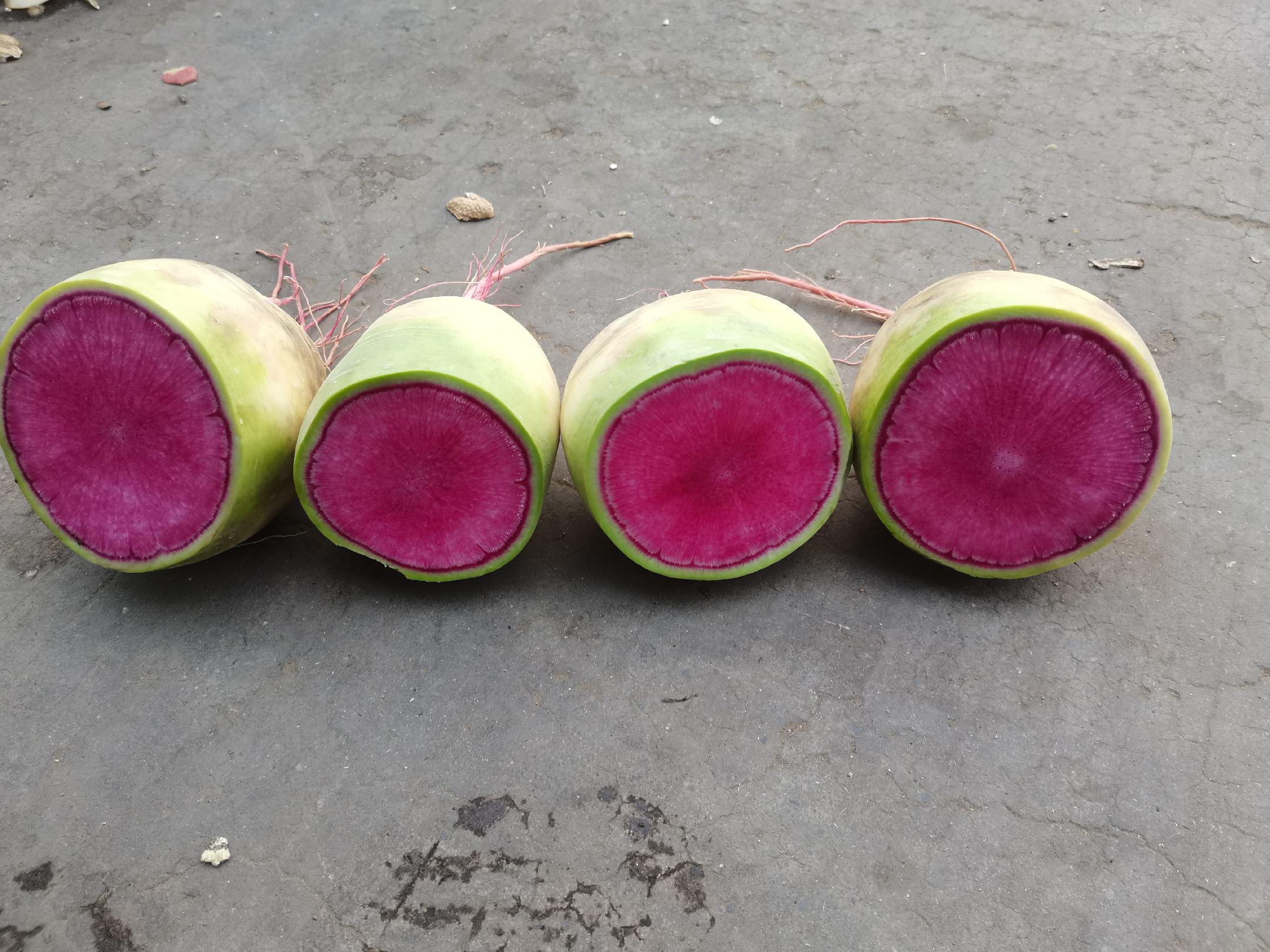 萝卜缺硼导致黑心