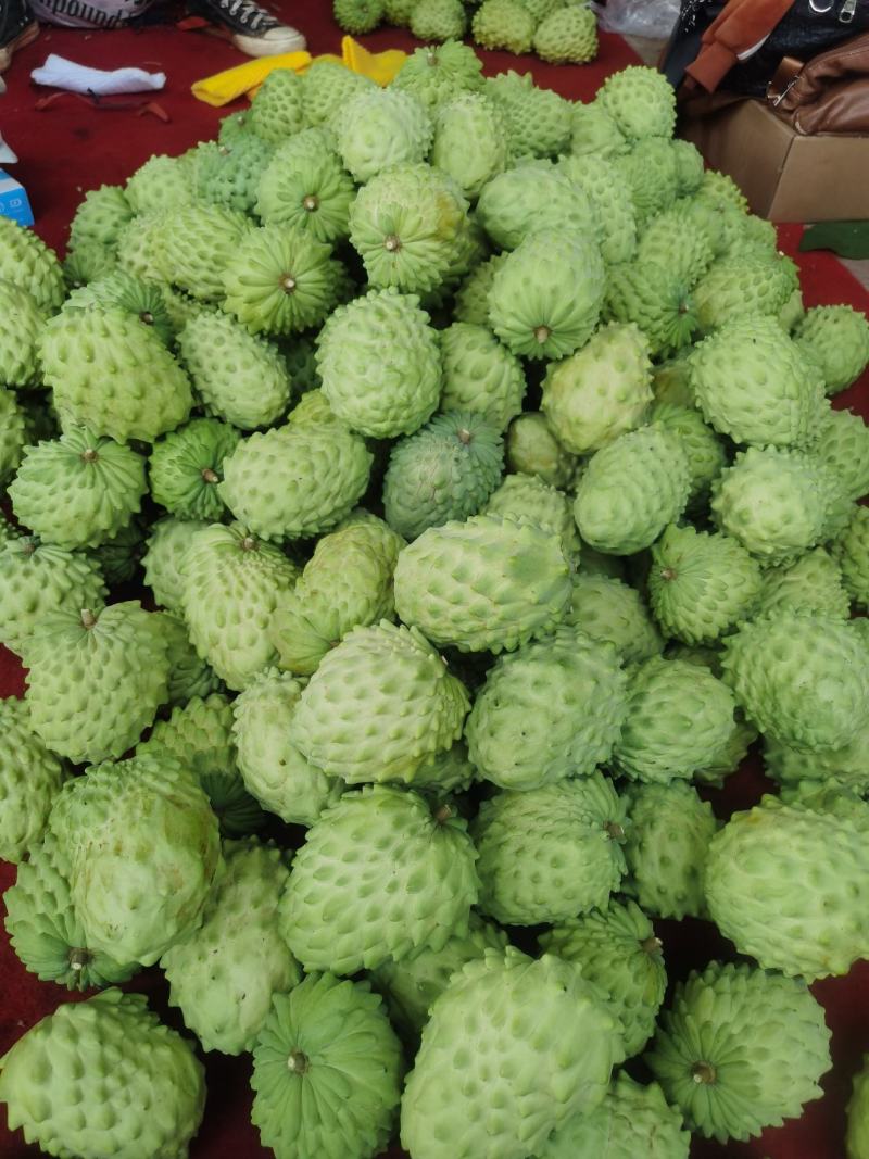【精品推荐】云南释迦果自产自销产地发货质量保障欢迎致电