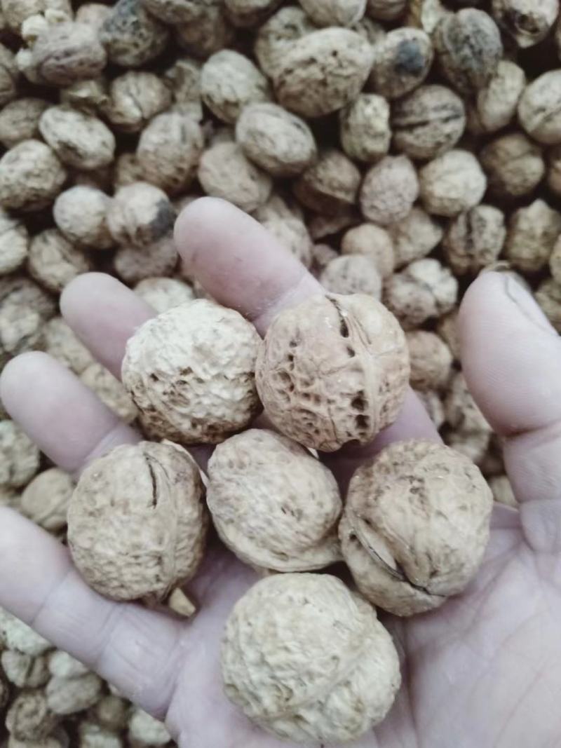 云南薄皮核桃大量供应质量保证货源充足诚信经营