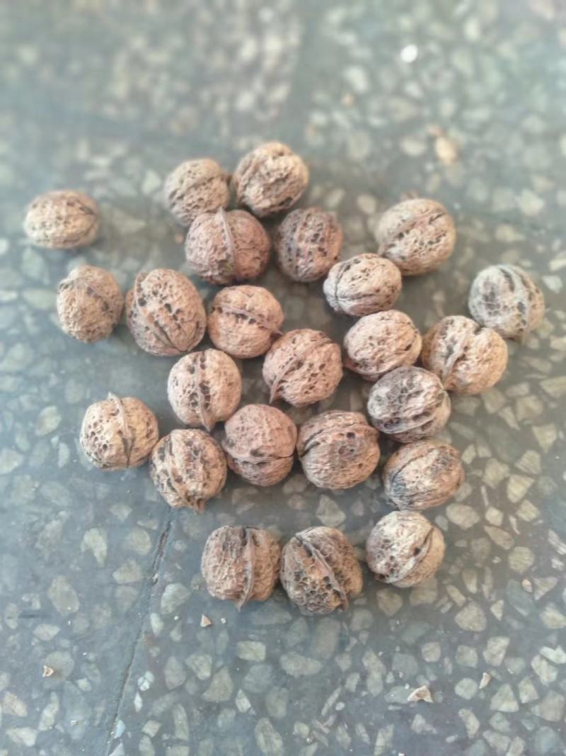 云南薄皮核桃大量供应质量保证货源充足诚信经营