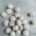 云南薄皮核桃大量供应质量保证货源充足诚信经营