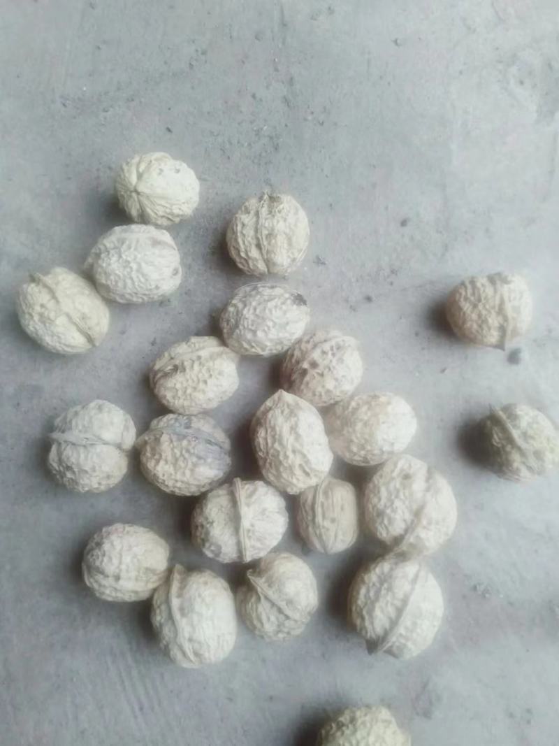 云南薄皮核桃大量供应质量保证货源充足诚信经营