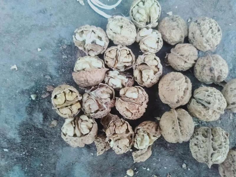 云南薄皮核桃大量供应质量保证货源充足诚信经营