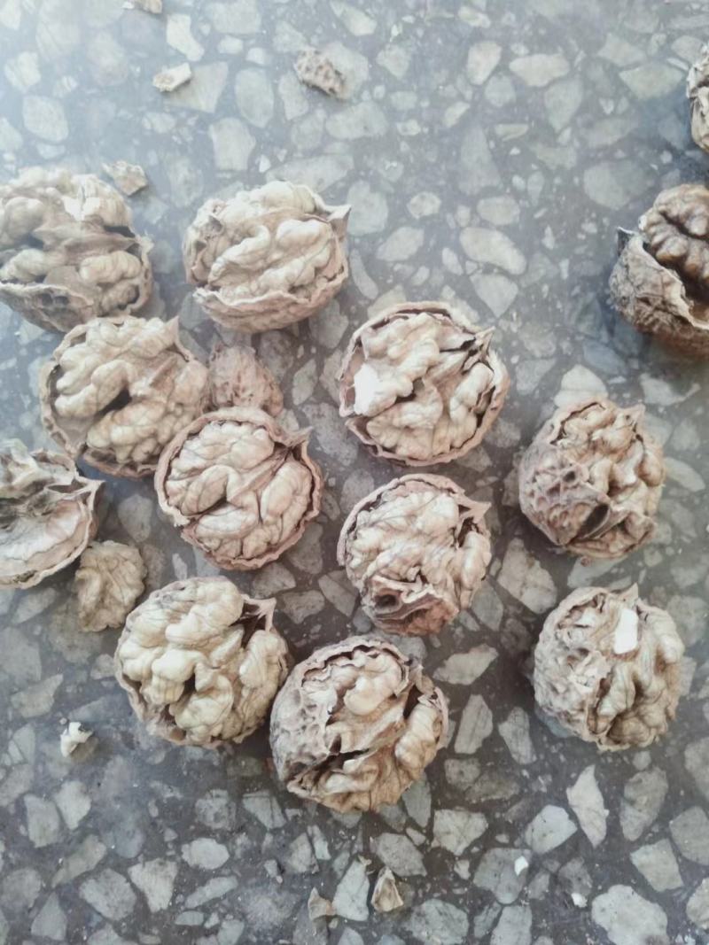 云南薄皮核桃大量供应质量保证货源充足诚信经营
