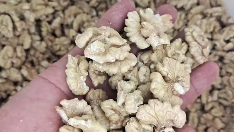 云南薄皮核桃大量供应质量保证货源充足诚信经营