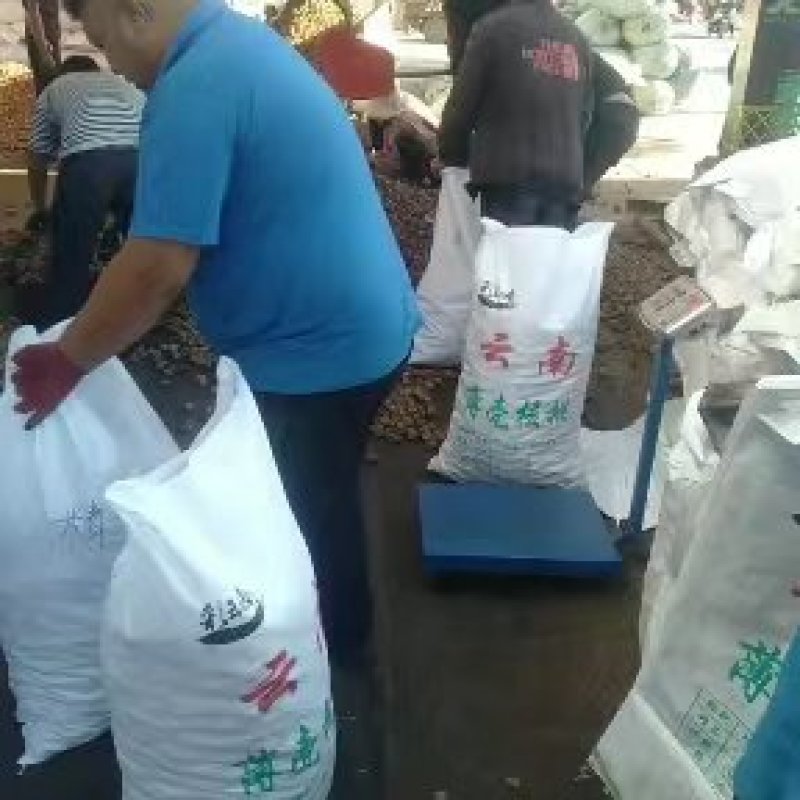 云南核桃薄皮核桃质量保证诚信经营货源稳定全国发货